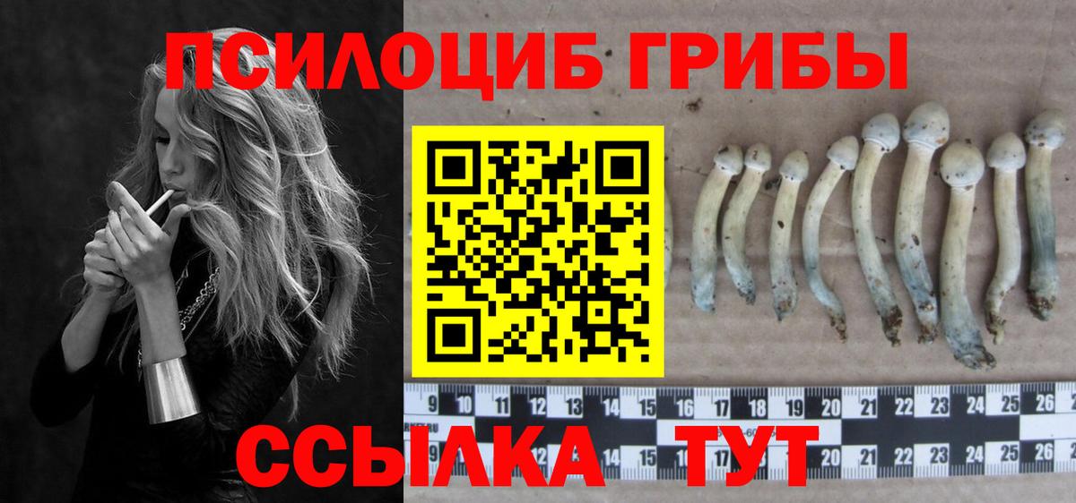 Галлюциногенные грибы MAGIC MUSHROOMS  Вход с VPN  Галлюциногенные грибы MAGIC MUSHROOMS  Вязники 