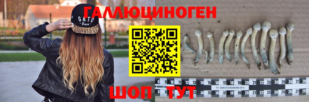 Галлюциногенные грибы прущие грибы Вязники